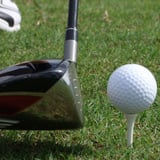Sparky's Fairway