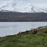 Flatey á Skjálfanda með FFA