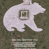 This Will Destroy You