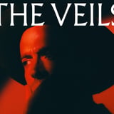 The Veils