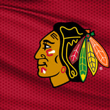 Chicago Blackhawks v Minnesota Wild - PRESEASON