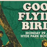 Good Flying Birds