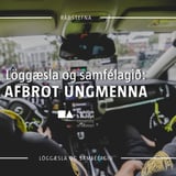 Löggæsla og samfélagið — Afbrot ungmenna