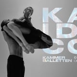 KALEIDOSCOPE