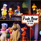 POOH BEAR LIVE