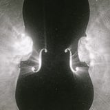 Auckland Philharmonia: Mendelssohn's Violin