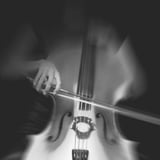 Auckland Philharmonia: Haydn & Shostakovich