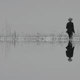 The Veils