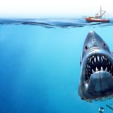 The Shark Is Broken