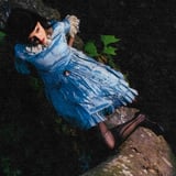 Not For Radio - A Summer In The Forest: North America Tour