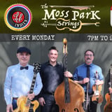 The Moss Park Strings