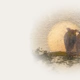 Paul Simon: A Quiet Celebration