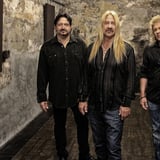 Y&T's Halloween Bash