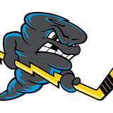 Quad City Storm vs. Evansville Thunderbolts