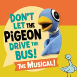 Don't Let the Pigeon Drive the Bus