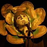 The Musical Box - All Ages (under 16 with adult)