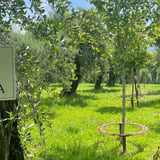 Visita della Poesia