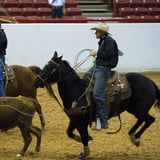NILE Ranch Rodeo