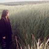 Searows