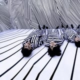 Ladytron