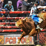 Professional Championship Bull Riding