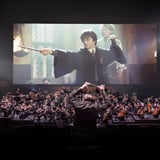 Harry Potter and the Chamber Of Secrets in Concert w/ Milwaukee Symphony Orchestra
