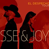 Jesse & Joy