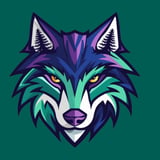 Washington Wolfpack vs. Michigan Arsenal