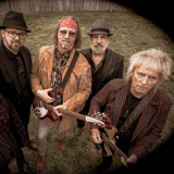 Damn the Torpedoes - a Tribute To Tom Petty