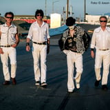 The Adicts, Love Canal, Knuckleheadz, Dirty Black Summer, Gvllow, Carveliners