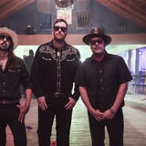 The Animeros