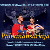 Pähkinänsärkijä