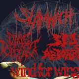 Slamwich, Donnie Brasco, Self Absorbed, Saint Martyr, Wind for Wings