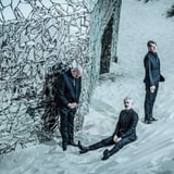 Triggerfinger