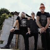 Mastodon