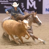 The Run for a Million Cow Horse Challenge