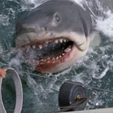 Jaws Movie Screening with Johnny Fish & The Fins