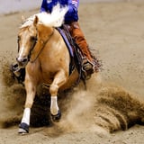 The Run for a Million Reining Challenge