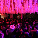 Banda World  18+