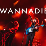 The Wannadies