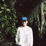 gnash  