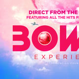 Bowie Experience