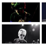FLAMIN' GROOVIES