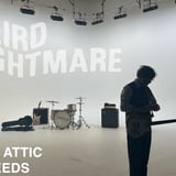 Weird Nightmare