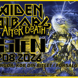 Maiden Aalborg - Posten, Odense