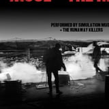 Runaway Killers / Simulation Muse