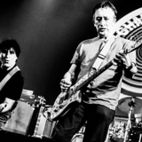The Chameleons