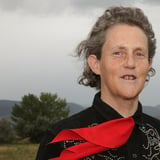 Dr. Temple Grandin