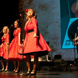 Relive the Music 50s, 60s & 70's Show