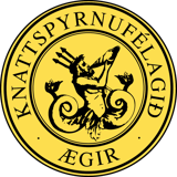 ⚽ Ægir - Völsungur